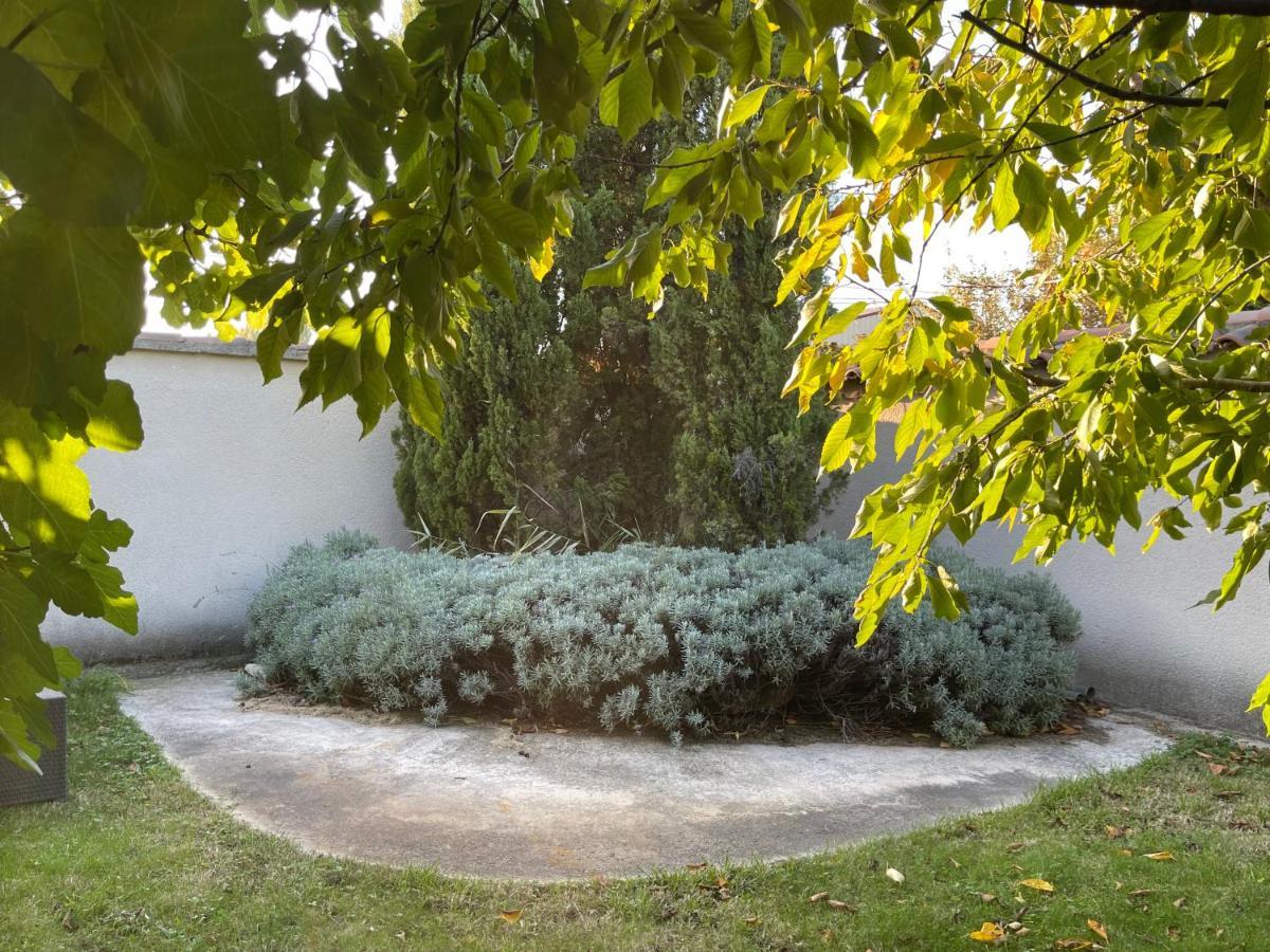 Studio Les Petits Lutins Entraigues-sur-la-Sorgue Eksteriør billede