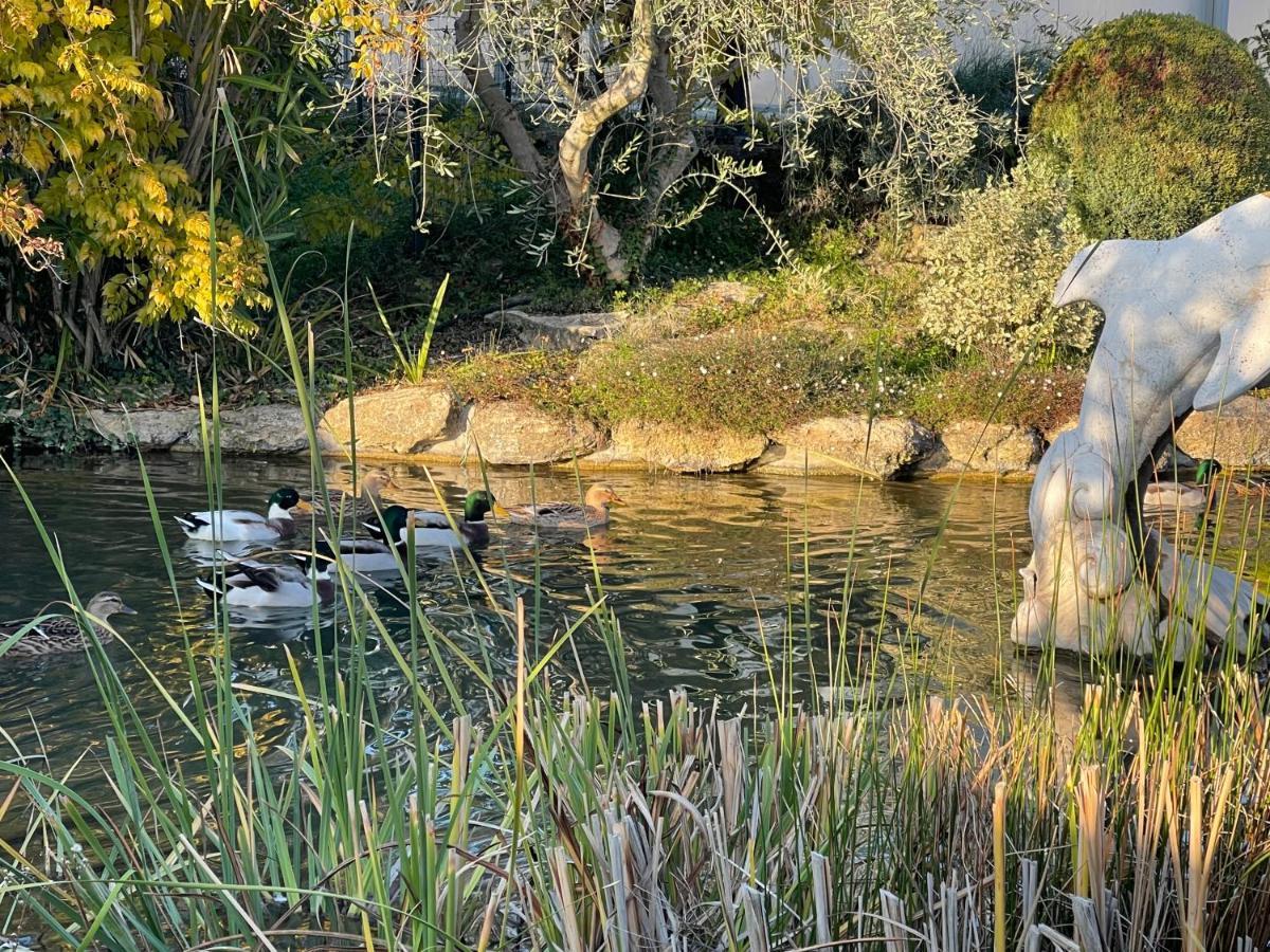Studio Les Petits Lutins Entraigues-sur-la-Sorgue Eksteriør billede